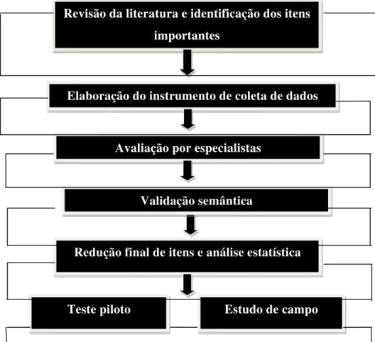 Figura 1 - Passos para a construção do instrumento de coleta de dados Revisão da literatura e identificação dos itens 
