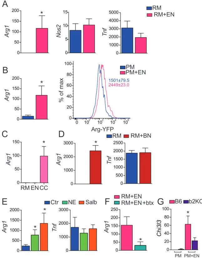Figura 2 - Confirmação in vitro do papel dos neurônios nas alterações de expressão gênica dos macrófagos 