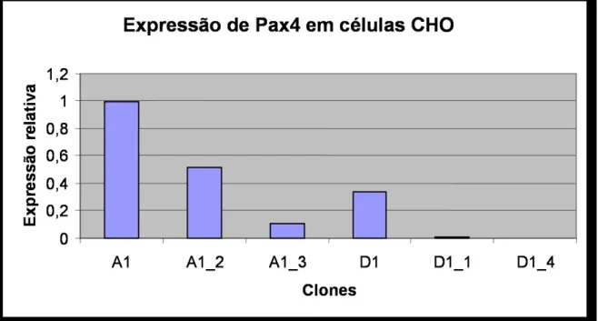 Fig 10: Análise da expressão do mRNA correspondente ao gene Pax4 nos diferentes clones de células CHO  denominados A1, A1.2, A1.3, D1, D1.1, D1.4 transfectados com pVP22.Pax4 através de q-RT-PCR