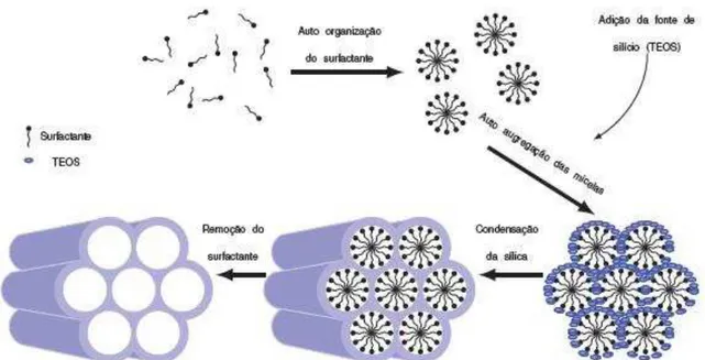 Figura 4  –  Diagrama esquemático demonstrando a síntese da SBA-15 