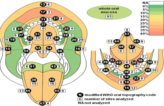 Figura 4. Frequência da detecção do HPV em regiões diferentes na mucosa oral. A topografia da mucosa oral é  codificada de acordo com o guia topografico da OMS adaptado por Roed-Petersen e Roenstrup