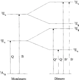 Figura 2.3: Transições eletrônicas para ftalocianinas nas formas de monômero e dímero