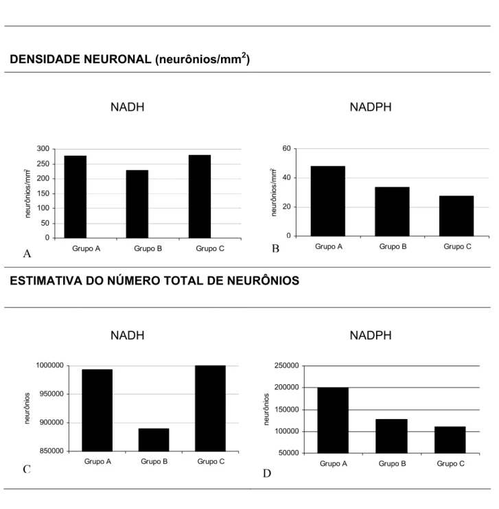 Figura 7 (A-D) - Gráficos referentes ao estudo quantitativo (densidade neuronal e estimativa do  número total de neurônios)
