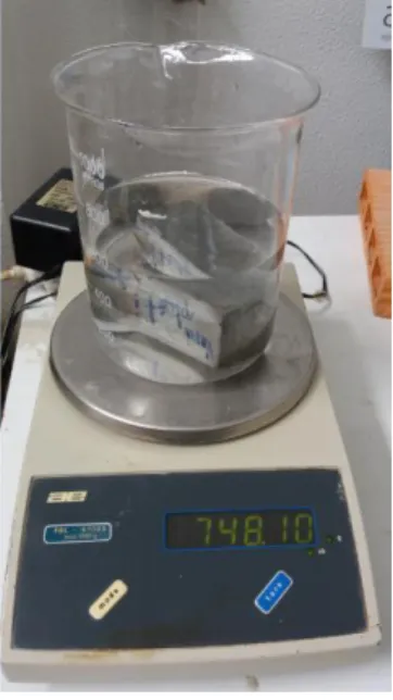 Figure 3.8: Absorption test.  