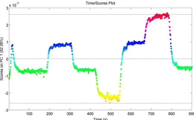 Figure 27 - Evolution of the first PC over time for run N6. 