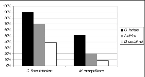 Figura 6- Porcentagem de insetos com resultados positivos para a detecção dos isolados endofíticos de  citros, M