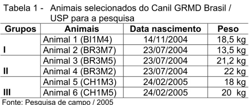 Tabela 1 -  Animais selecionados do Canil GRMD Brasil /  USP para a pesquisa 