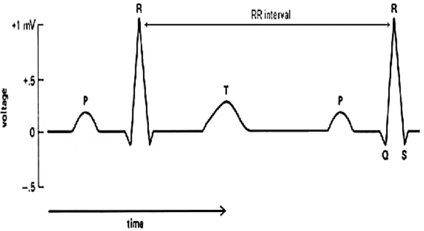 Figure 2.1. Example of ECG wave of a healthy subject. Image adapted from [79]. 