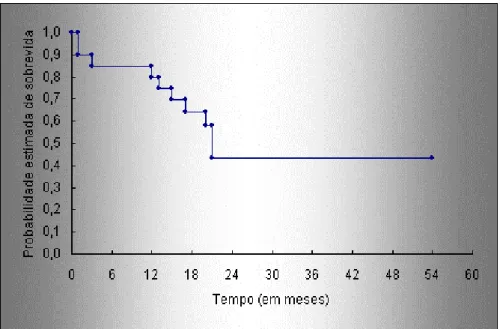 Gráfico 1 –  Curva de sobrevida pelo método de Kaplan-Meyer 