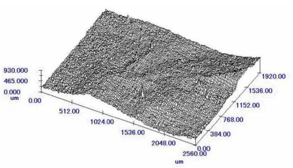 Figura  2.5 – Superfície obtida com o perfilômetro laser. C HAE  et al. (2004) 