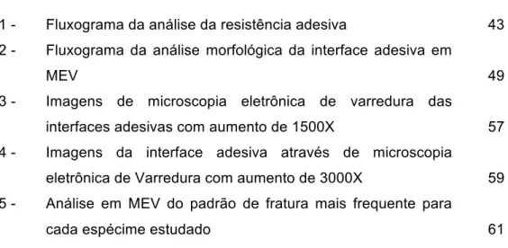 Figura 1 -  Fluxograma da análise da resistência adesiva  43  Figura 2 -  Fluxograma  da  análise  morfológica  da  interface  adesiva  em 