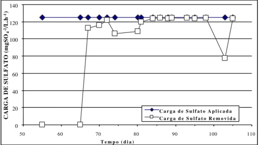Figura 5.15: Variação temporal das cargas de sulfato aplicadas e removidas na Fase 2.