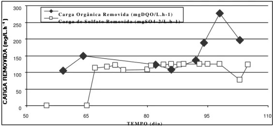 Figura 5.17: Variação temporal das cargas orgânicas e cargas de sulfato aplicadas e removidas na Fase 2.