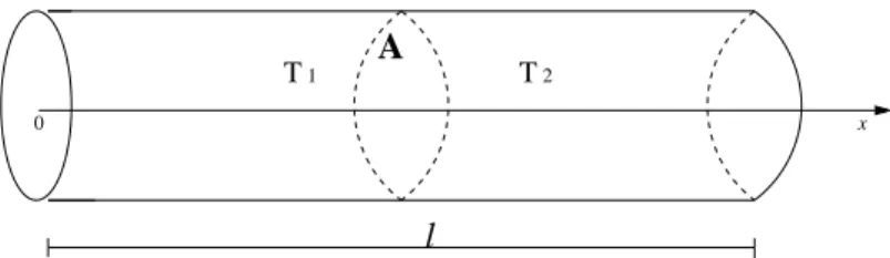 Figura 1.1: Propaga¸c˜ao do calor em uma barra.
