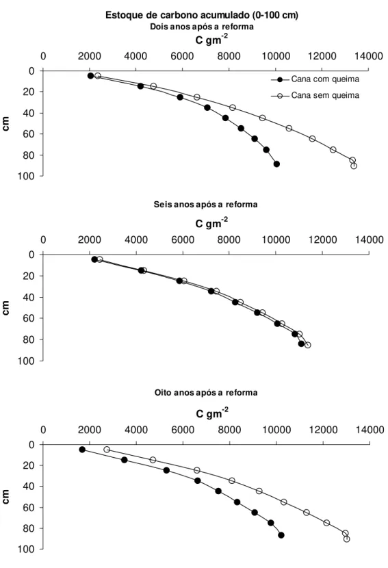 Figura 7 - Estoque de carbono acumulado ate a profundidade de 100 cm, nas áreas de cana, dois, seis e oito anos  após a reforma, nos manejos com e sem queima, corrigido para densidade 