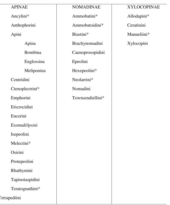 Tabela 1: Classificação da Família Apidae segundo Melo e Gonçalves  (2005)  APIDAE  APINAE  Ancylini*  Anthophorini  Apini  Apina  Bombina  Euglossina  Meliponina  Centridini  Ctenoplectrini*  Emphorini  Ericrocidini  Eucerini  ExomalOpsini  Isepeolini  Me