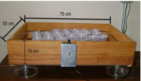Figura 1: Dimensões da incubadora de madeira onde foram mantidas as fêmeas de  Polybia  paulista estudadas no laboratório