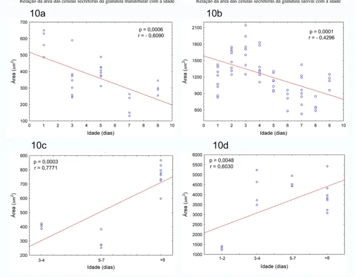 Figura 10: Mudanças na área das unidades secretoras da glândula mandibular e a  glândula salivar conforme a idade em Polybia paulista