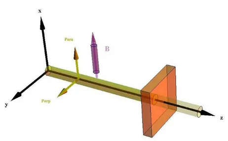 Figura 4.12: Geometria Voigt. O vetor campo elétrico oscila perpendicularmente à direção de propagação, podendo estar alinhado paralelamente o perpendicularmente com o campo magnético.