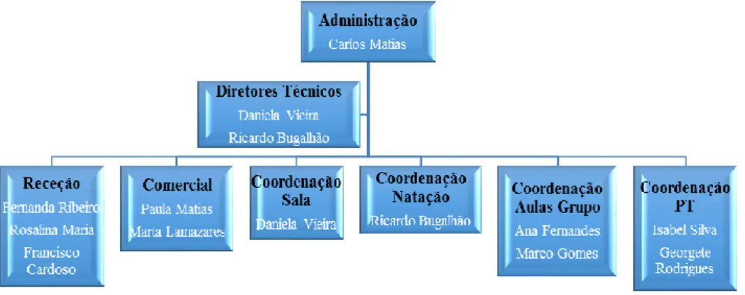 Figura 13. Organograma o ginásio.  