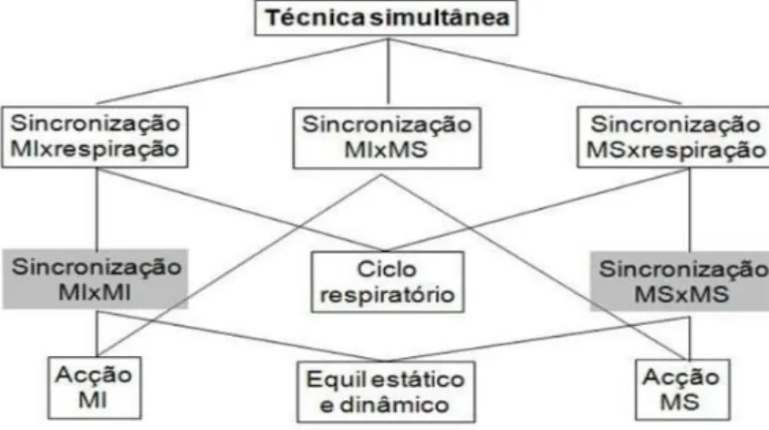 Figura 14. Modelo de ensino das técnicas alternadas, adaptado de Barbosa &amp; Queirós (2005)