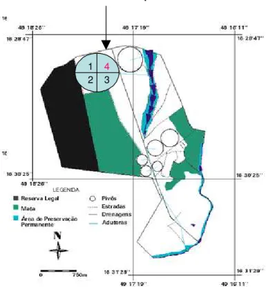 Figura 4.1 - Mapa da Estrutura Física da Fazenda Capivara  Fonte: Embrapa Arroz e Feijão (2006)   