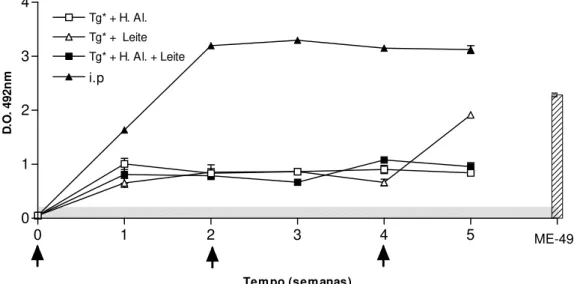 Figura 4 – Produção de anticorpos IgG específicos no soro de camundongos C57Bl/6j  inoculados com 1, 2 e 3 doses de 1x10 7  taquizoítos de T
