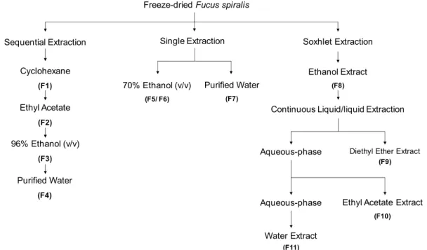 Figure 1. Overview of Fucus spiralis samples’ extraction and fractionation methodologies