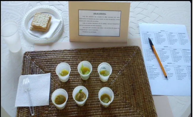 FIGURA 9  –  Imagem representativa da apresentação das amostras dos molhos comerciais  para salada durante a análise sensorial