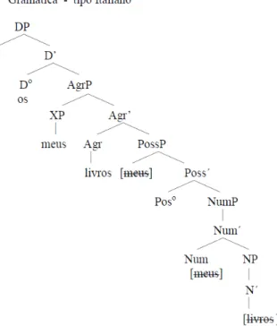 Figura 2.4: representação arbórea da gramática do tipo italiano com AgrP. 25