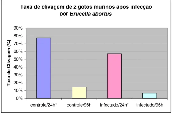 Gráfico 1 -   Taxa de clivagem de zigotos murinos após 24 e 96 horas da infecção com B