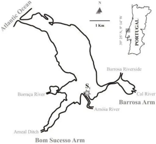 Figure 3. Location of the sampling site (S1) at the Óbidos lagoon. 