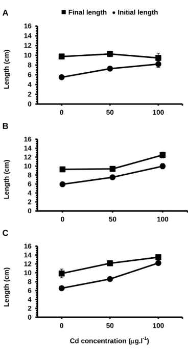 Figure  7.  Comparison  between  initial  and  final  length  (average    standard  error)  of  S