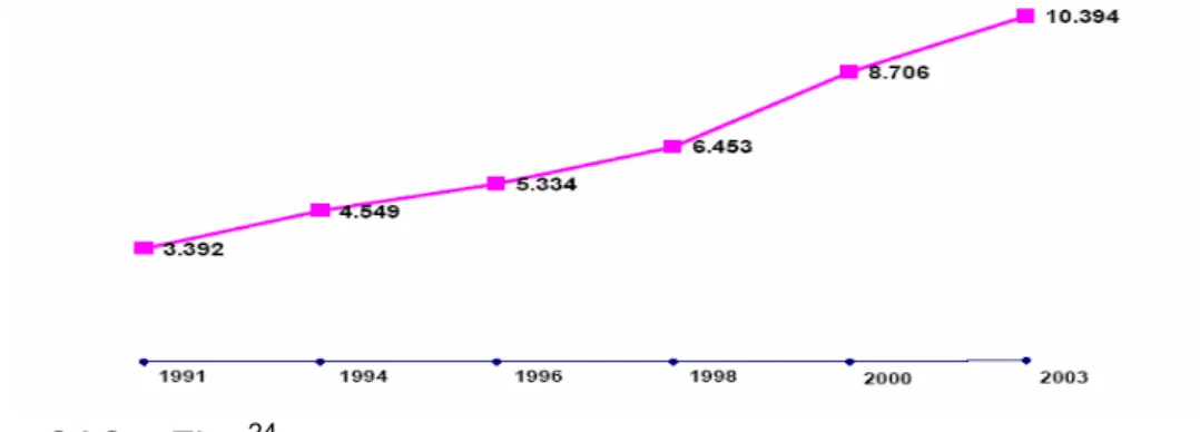 Gráfico 1: Crescimento do número de pessoas em situação de rua no  Município de São Paulo no período entre 1991 e 2003 