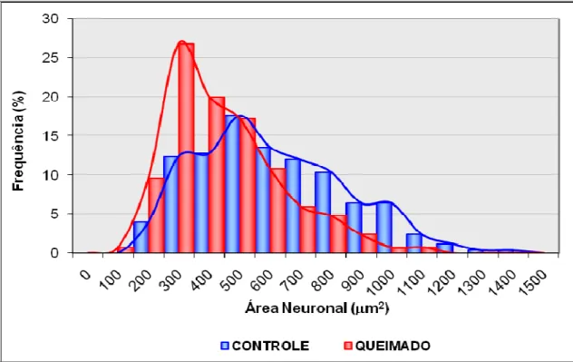 Figura 4. Demonstra a área dos neurônios do estômago de animais dos grupos c10 e q10  evidenciados pela técnica do NADPH-d