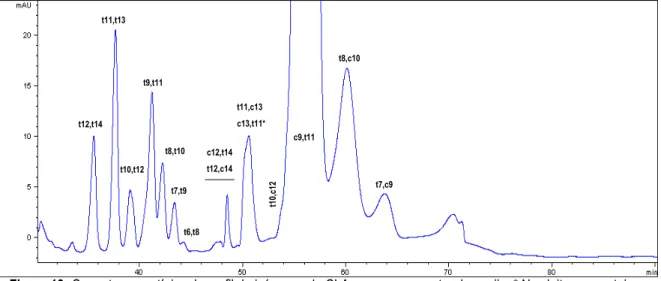 Figura 13: Cromatograma típico do perfil de isómeros do CLA para uma amostra de queijo