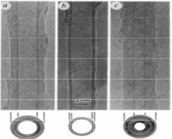 FIGURA 4: Imagens obtidas por IIJIMA (1991), por meio de um  microscópio  eletrônico  de  transmissão,  mostrando  nanotubos  de carbono de multiplas camadas (a,b,c) (ver também Fig