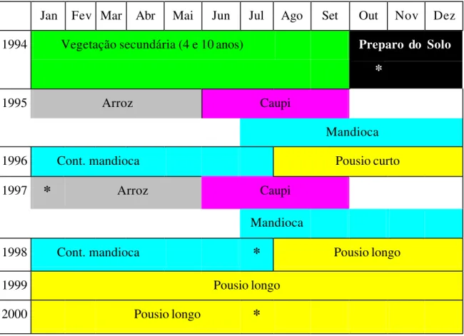 Figura 3 - Ciclos de cultivo e épocas de amostragem na área experimental no período de  1994 – 2000