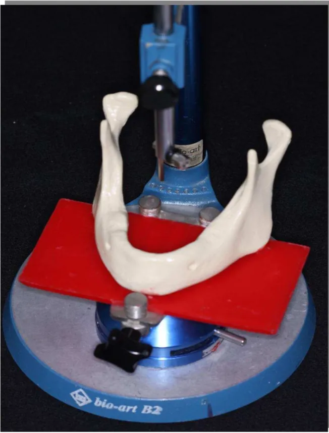 Figura 4.1  –  Modelo de uso de paralelômetro (delineador protético) em mandíbula artificial 
