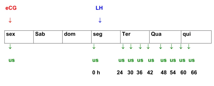 Figura 1 - Representação esquemática dos tratamentos com gonadotrofinas e  momento da realização do ultra-som