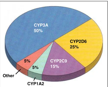 Figura  2.  Diversos  Genes  CYP450  e  seu  porcentual  de  metabolismo  de  fármacos  mais  prescritos  clinicamente nos Estados Unidos de América