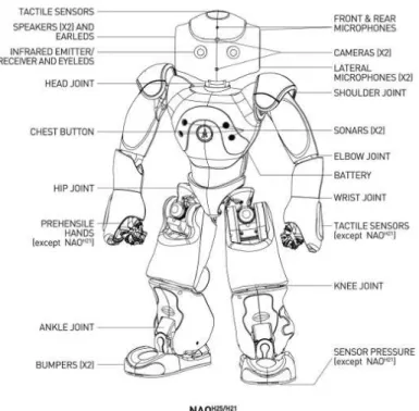 Figura 3.1: Componentes do robô NAO