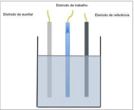 Figura 1. Célula eletroquímica. 