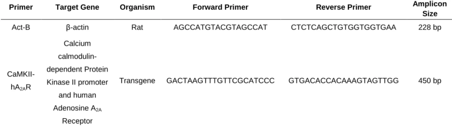 Table 3.1 - Primers used for genotyping of transgenic animals 