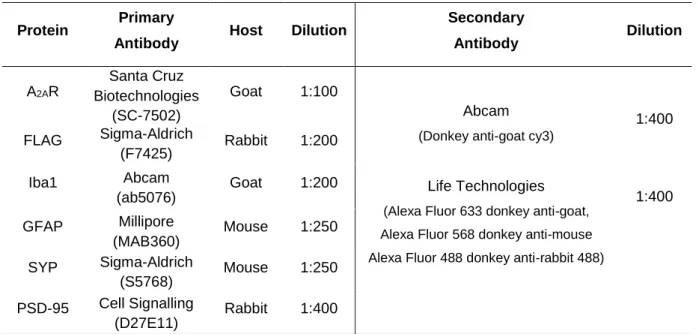 Table 3.3  Primary and secondary antibodies and related conditions used in the Immunohistochemistry experiments