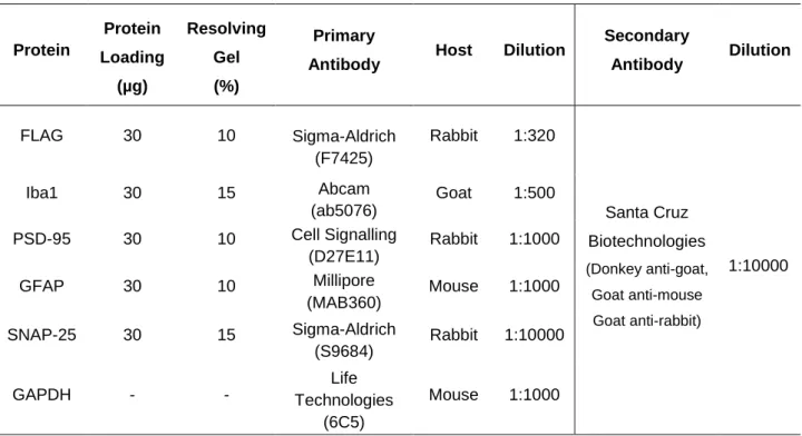Table  3.4  -  Primary  and  secondary  antibodies  and  related  conditions  used  in  the  Western  Blotting  experiments  for  individual proteins