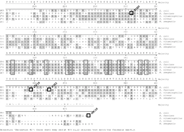Figure 1.8 Sequence alignment of selected GT-B superfamily members.  