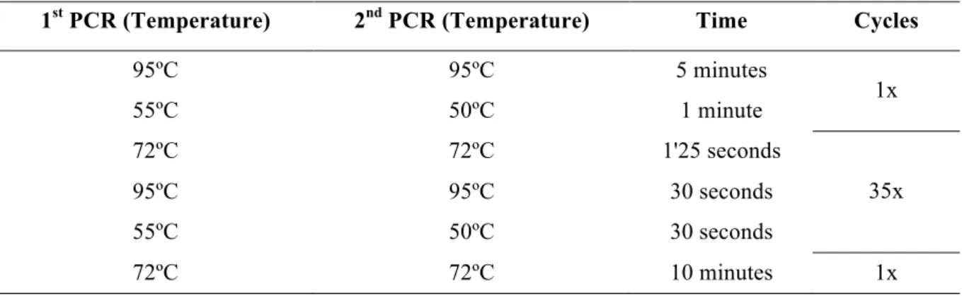 Table 2.6 – C. trachomatis ompA nested-PCR amplification profile. 