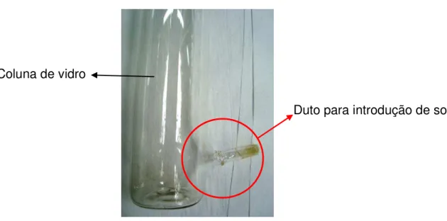 Figura 1- Coluna de vidro com duto para introdução de solução. 