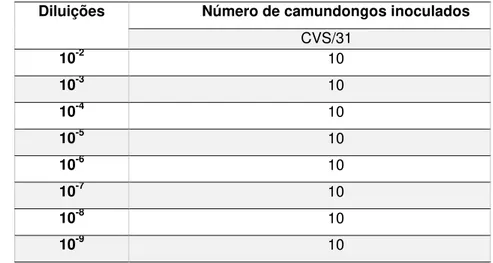 Tabela 1 -  Delineamento  experimental  para  determinação  da  DLIC 50   (dose  letal  intracerebral  50%)  contendo  os  grupos  de  camundongos  da  linhagem  Swiss-Webster  inoculados  com  vírus  fixo (CVS/31)